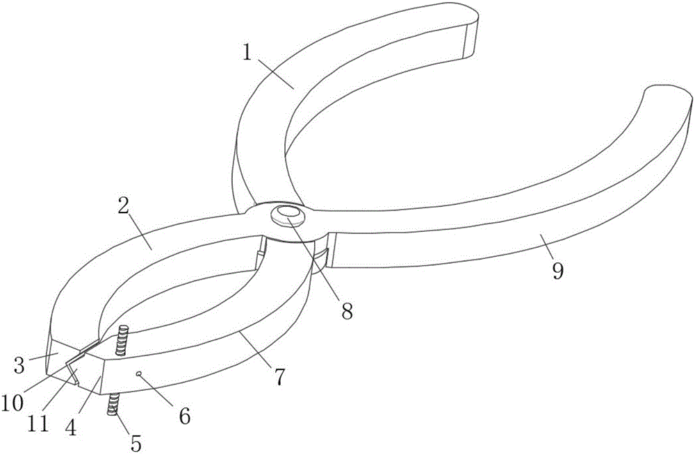 Experimental fracture molding clamp and using method thereof