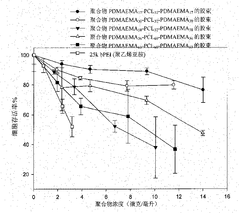 Biodegradable cationic polymer and application thereof