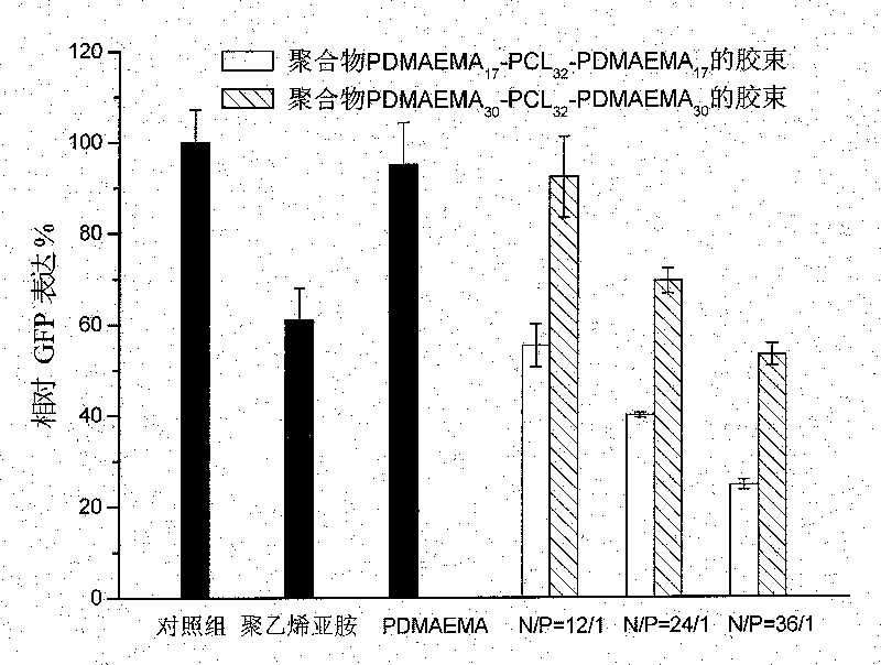 Biodegradable cationic polymer and application thereof