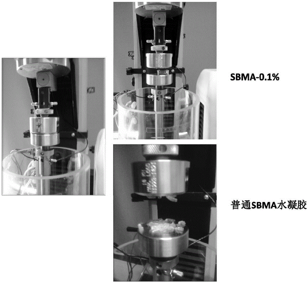 Preparation method of high-flexibility amphoteric ionic hydrogel