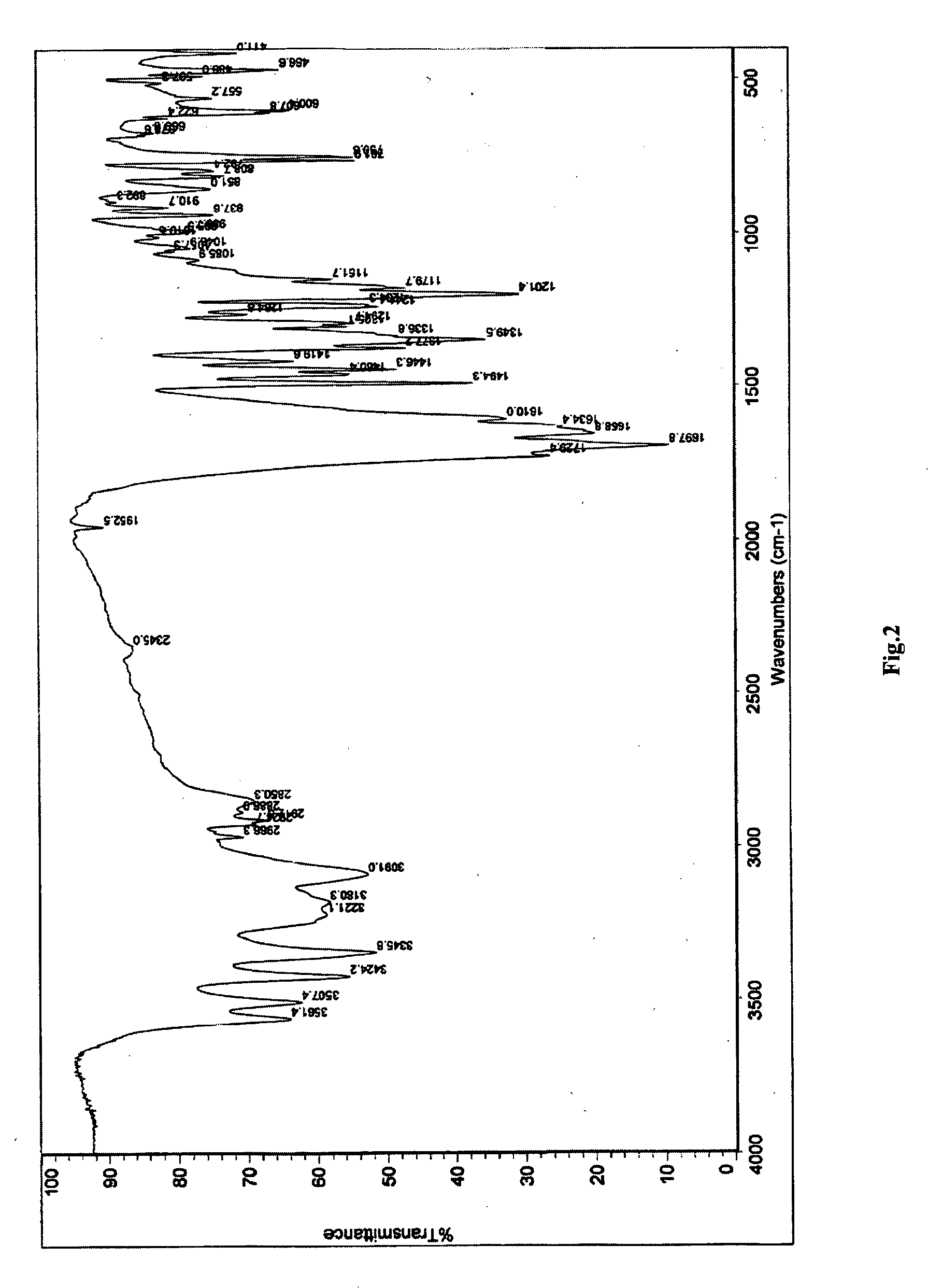 Polymorph of 3-(substituteddihydroisoindolinone-2-yl)-2,6-dioxopiperidine, and pharmaceutical compositions thereof