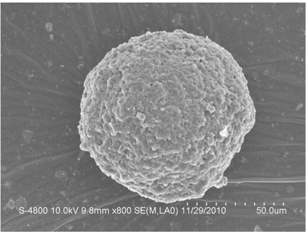 Nanoparticle-containing polypropylene inside-kettle alloy capable of being used for 3D printing, and preparation method and application thereof