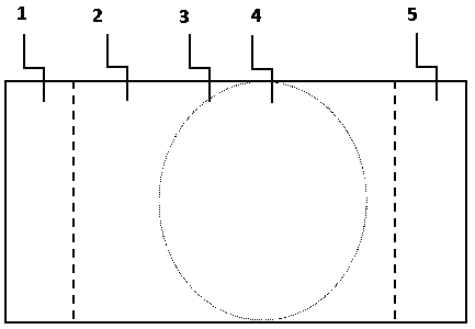 Detection kit and detection method for rapidly detecting novel coronavirus