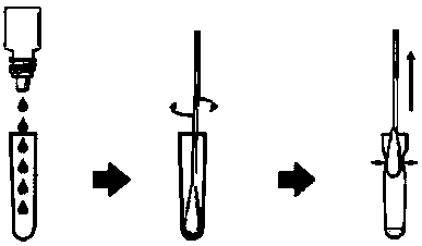 Detection kit and detection method for rapidly detecting novel coronavirus