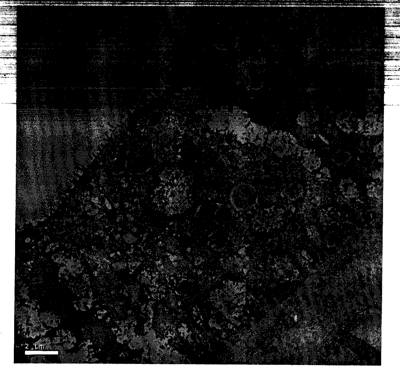 Method for extracting unsaturated fatty acid composition from humen amniotic epithelial cells, and application thereof