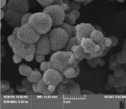 Nitrogen-rich hierarchical pore carbon material and preparation method