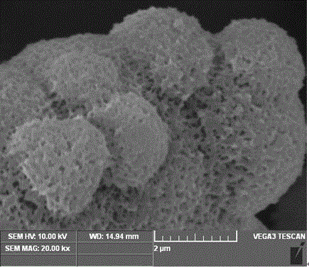 Nitrogen-rich hierarchical pore carbon material and preparation method