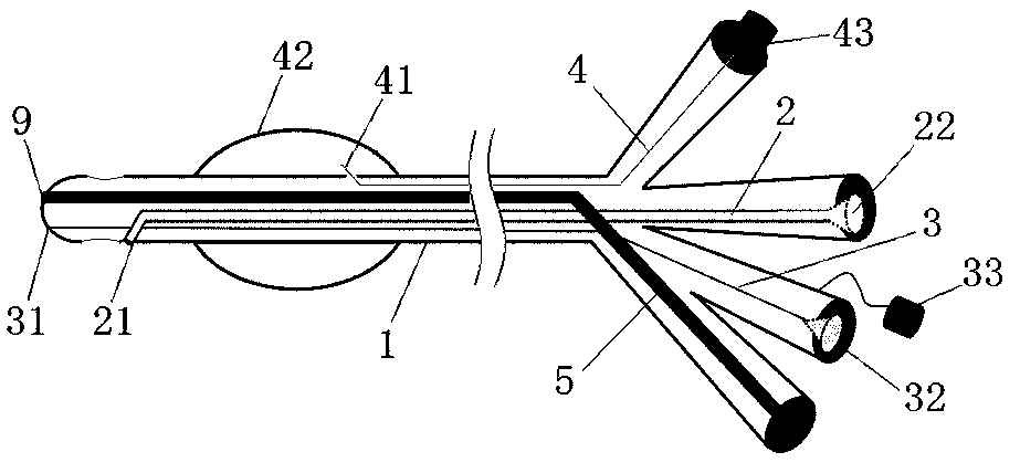 Visual adjustable steering air sac catheter