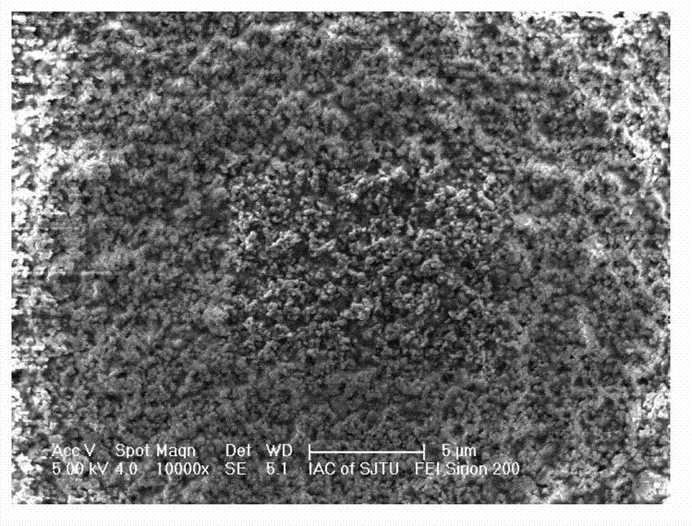 Preparation method of lithium battery diaphragm