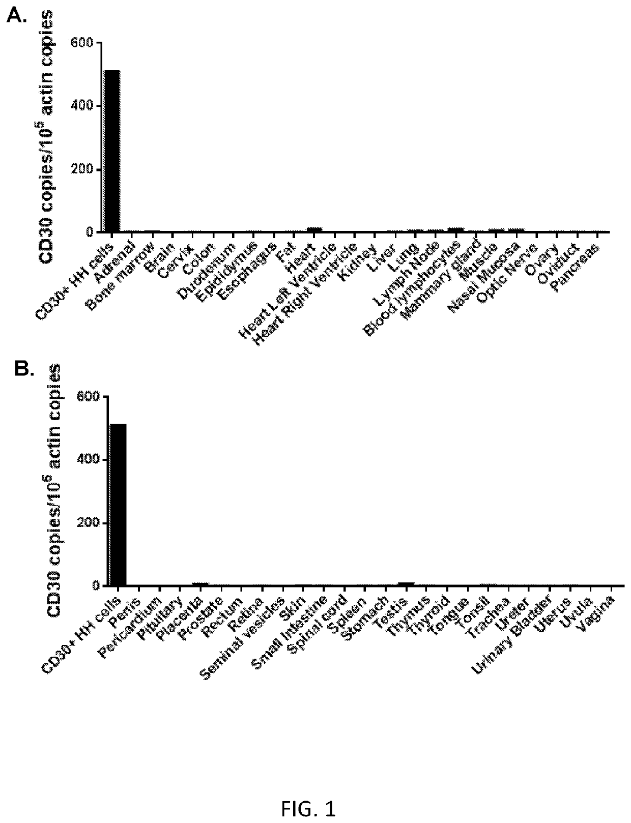 Anti-CD30 chimeric antigen receptors