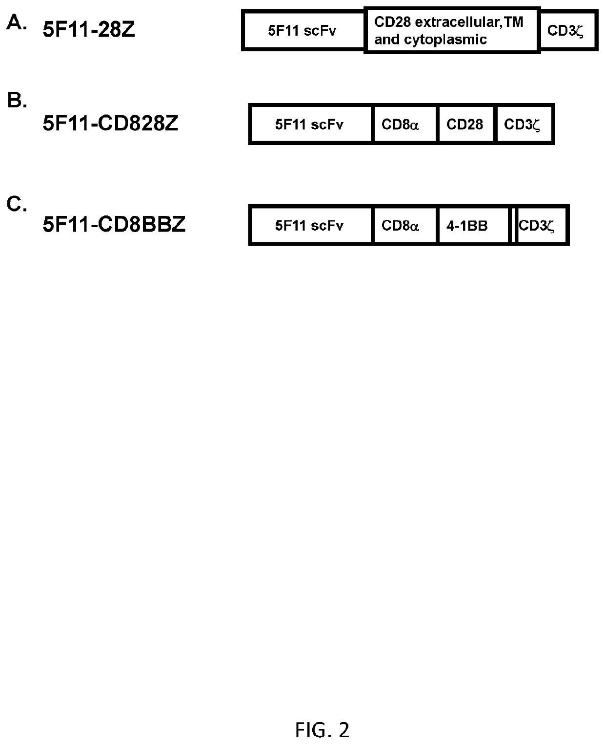 Anti-CD30 chimeric antigen receptors