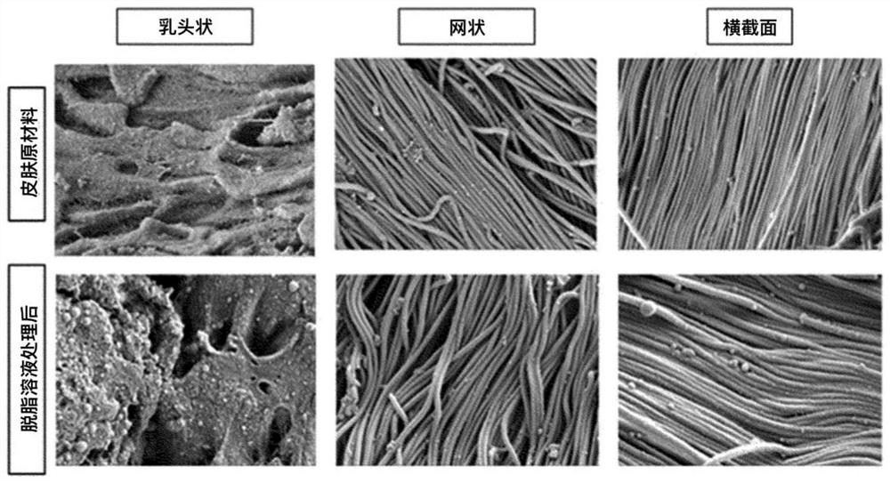 Hydrated acellular skin substitute material and manufacturing method thereof