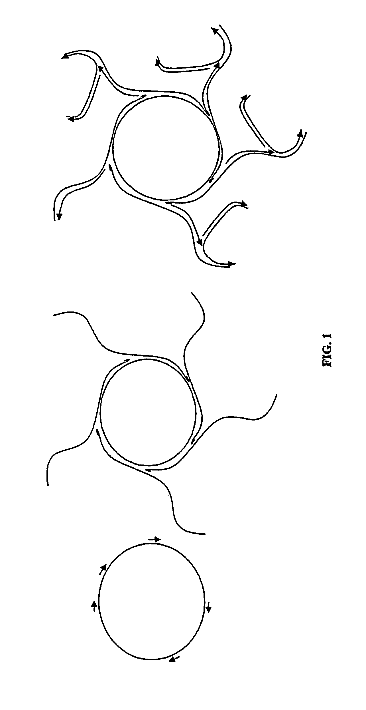 Amplification and cloning of single DNA molecules using rolling circle amplification