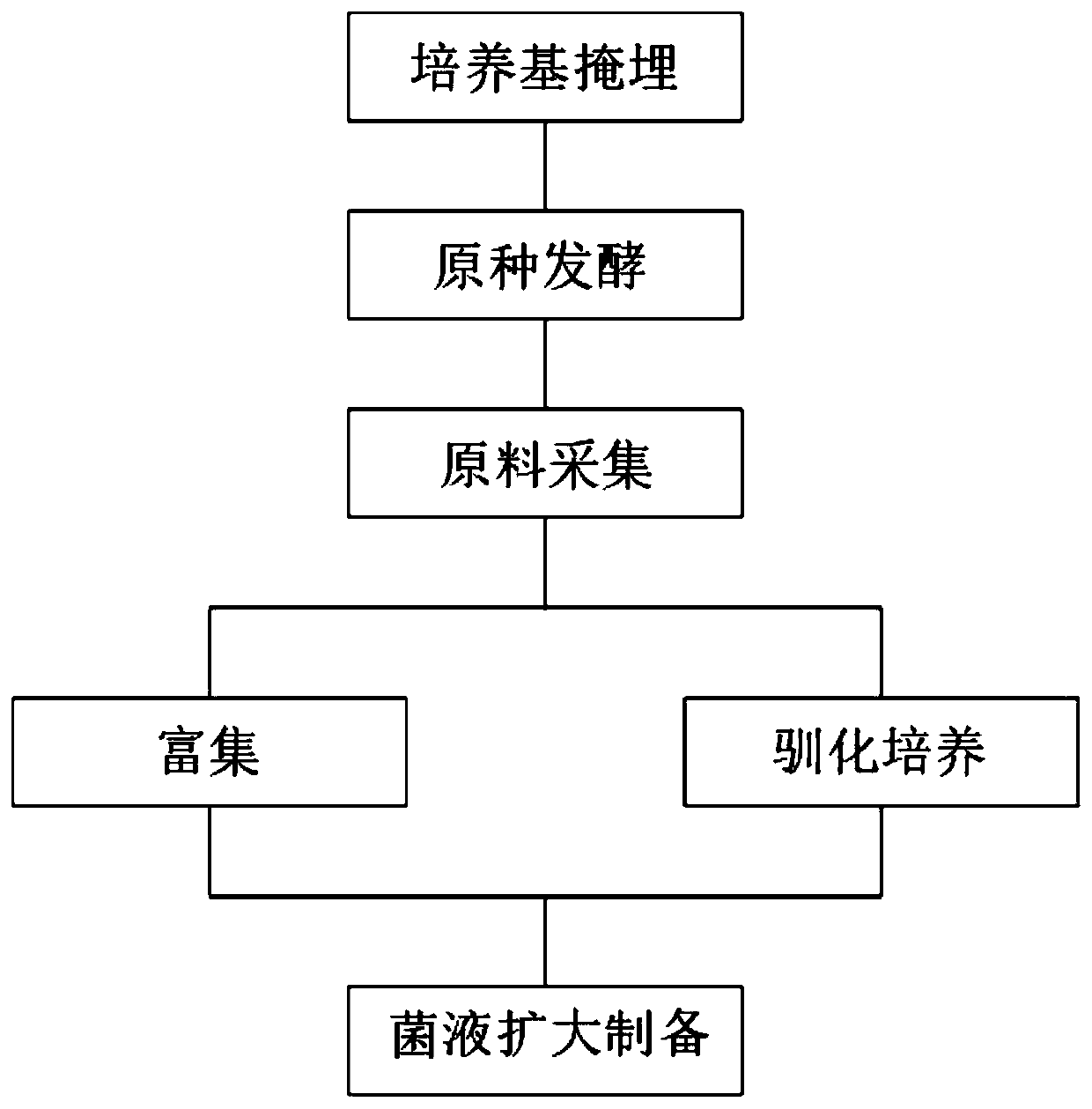 Preparation method of composite microbial liquid with deodorization and epidemic prevention functions