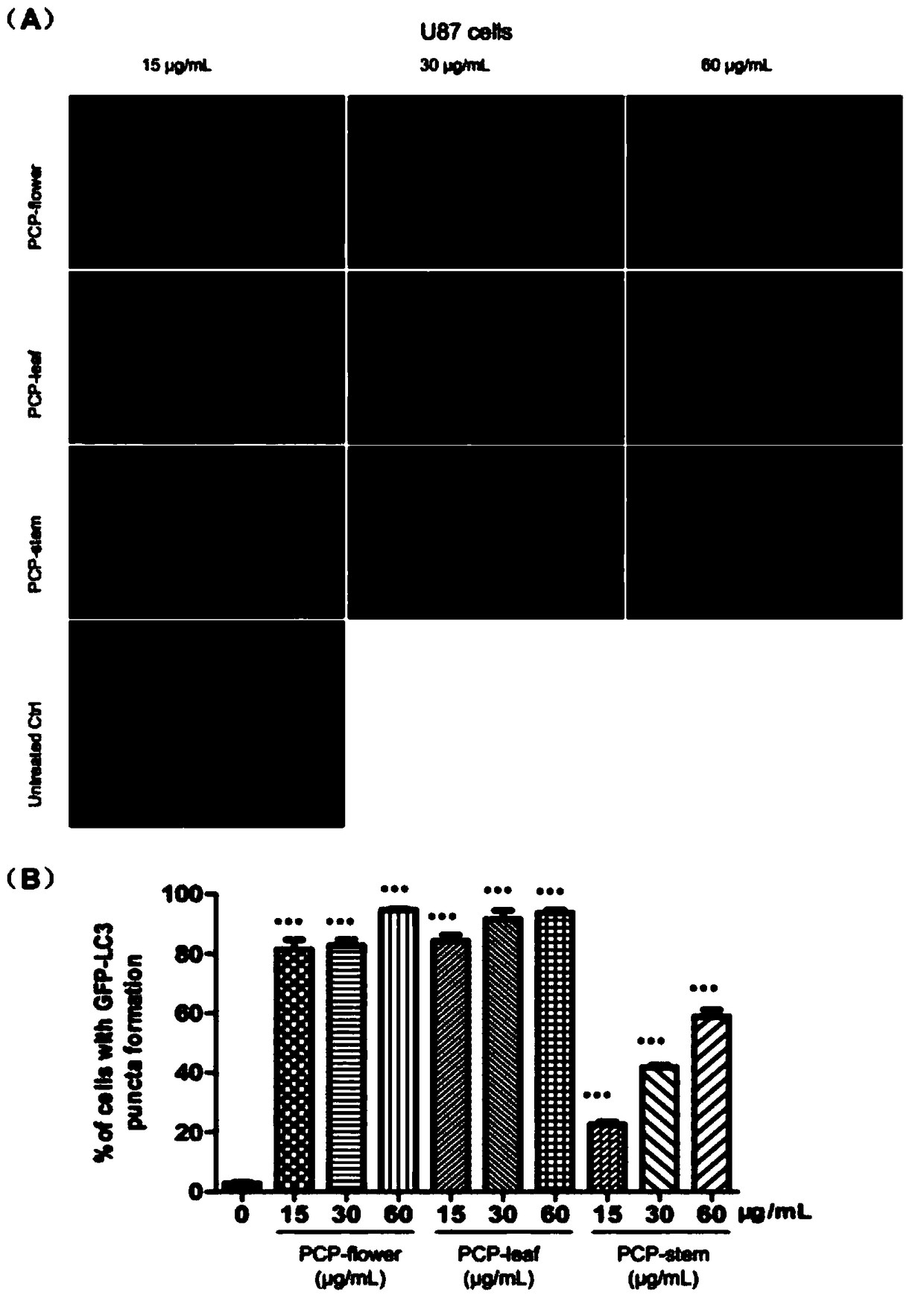 Application of penthorum Chinense pursh and compounds thereof in preparing medicine for treating atherosclerosis and relieving Alzheimer disease