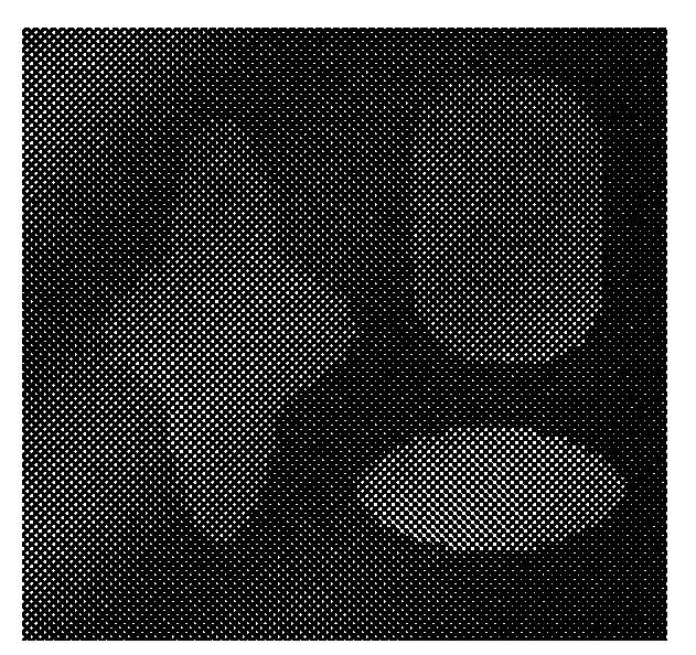 Method for segmenting image with non-uniform gray scale based on level set function