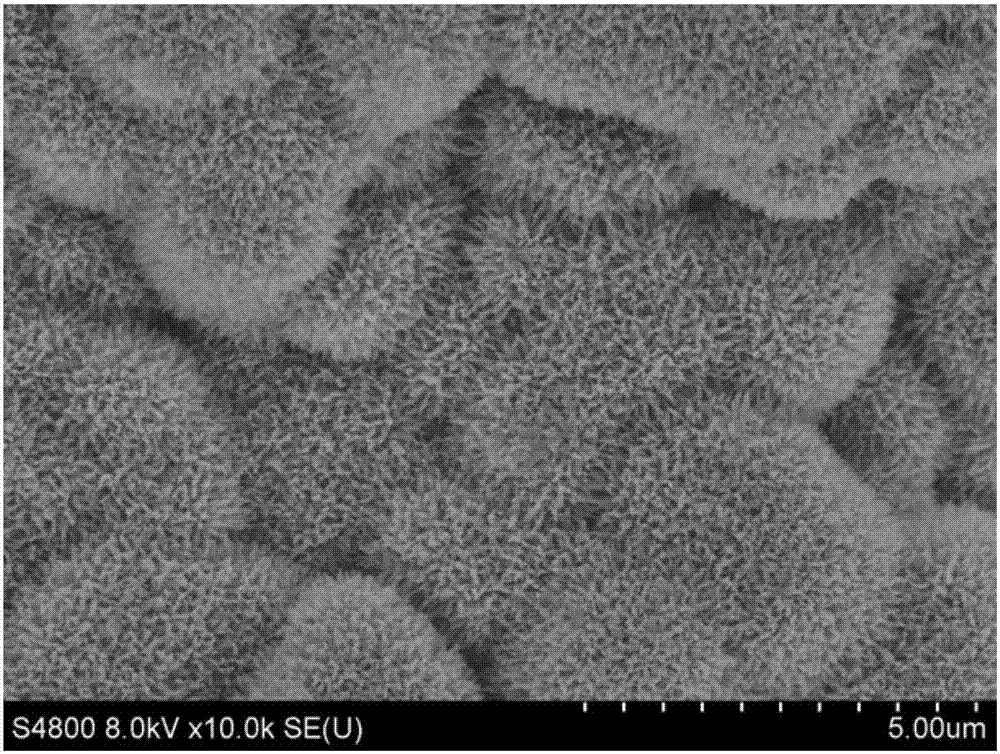 Super-hydrophilic and under-water super-oleophobic ceramic film and preparation method thereof