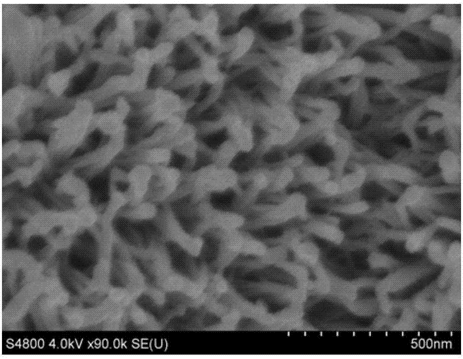 Super-hydrophilic and under-water super-oleophobic ceramic film and preparation method thereof