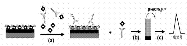 Electrochemical immunosensor for measuring melamine content, preparation method and application