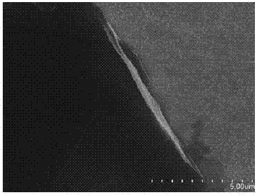 Electrochemical immunosensor for measuring melamine content, preparation method and application