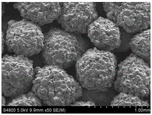 Bioactive coating on the surface of a porous metal material and its preparation method