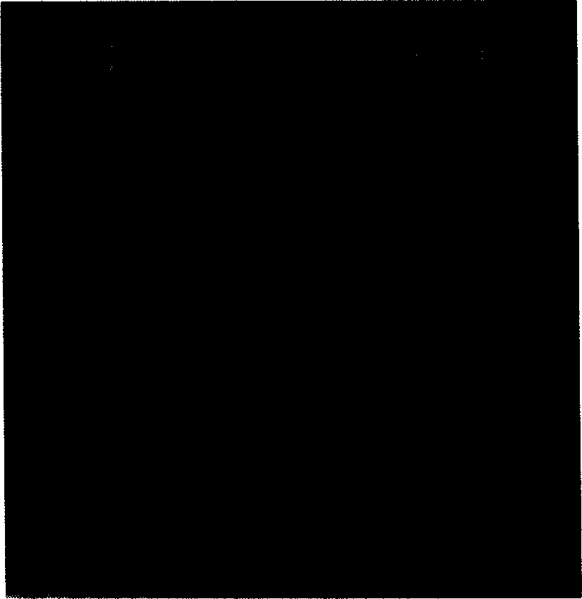 Quality control method of kidney beneficial bone fortifying capsule