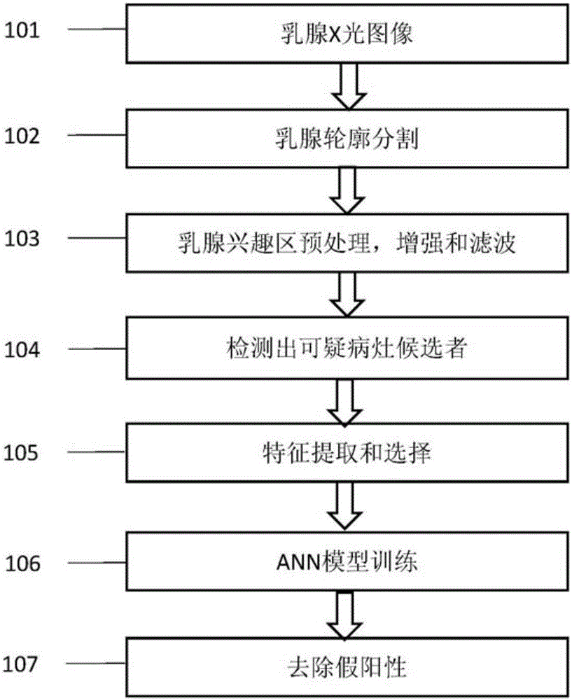 System and method for automatically detecting lesions in medical image through multi-model fusion