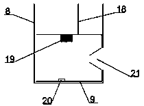 Fish passing device for water conservancy and hydropower dam