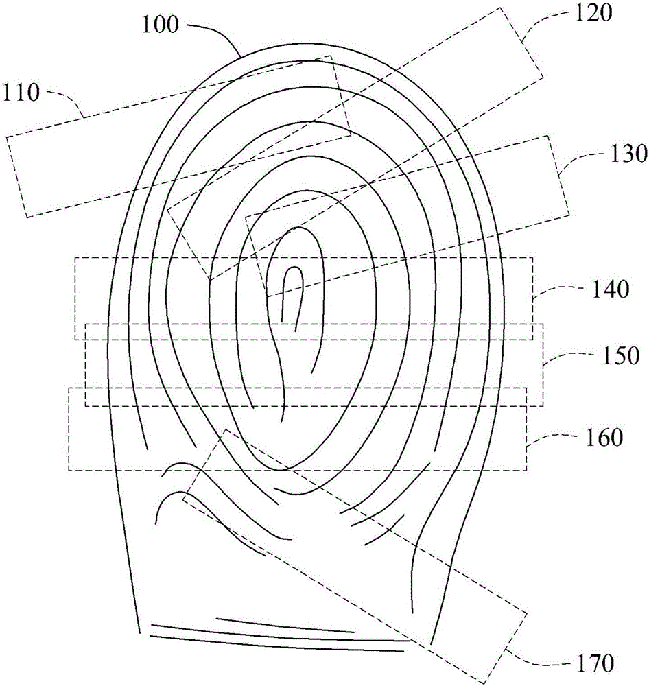 Fingerprint verification method and apparatus