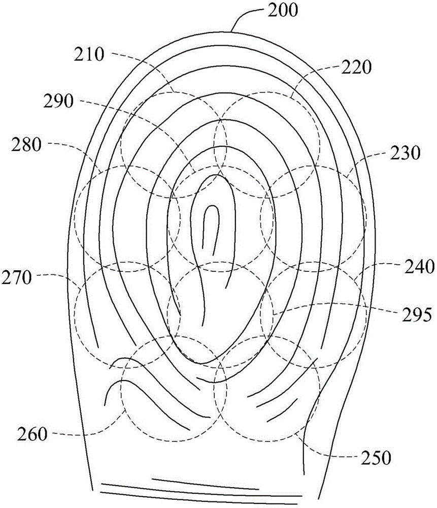 Fingerprint verification method and apparatus