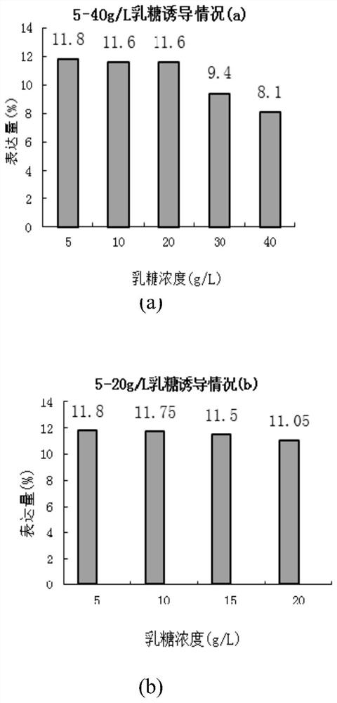 A kind of fermentation method for large-scale production of recombinant exendin-4 polypeptide