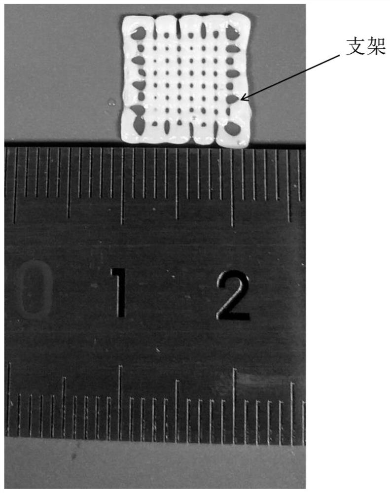 Three-dimensional stent with communicating hollow structure and preparation method of three-dimensional stent