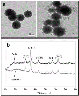 Method for preparing magnetic porous microsphere adsorbing material by utilizing O/W/O double emulsion template