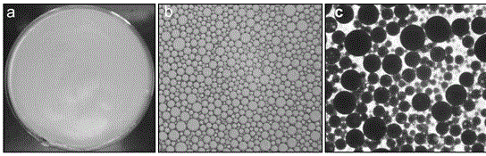 Method for preparing magnetic porous microsphere adsorbing material by utilizing O/W/O double emulsion template