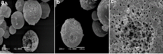 Method for preparing magnetic porous microsphere adsorbing material by utilizing O/W/O double emulsion template