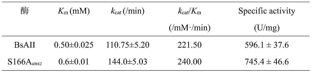 Genetic-engineering L-asparaginase amidohydrolase modified through site-specific mutagenesis