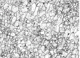 Stainless steel corrosive agent and stainless steel grain size display method