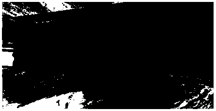 Method for producing carbonized coal/coke for gasification by large tamping briquette on coke oven