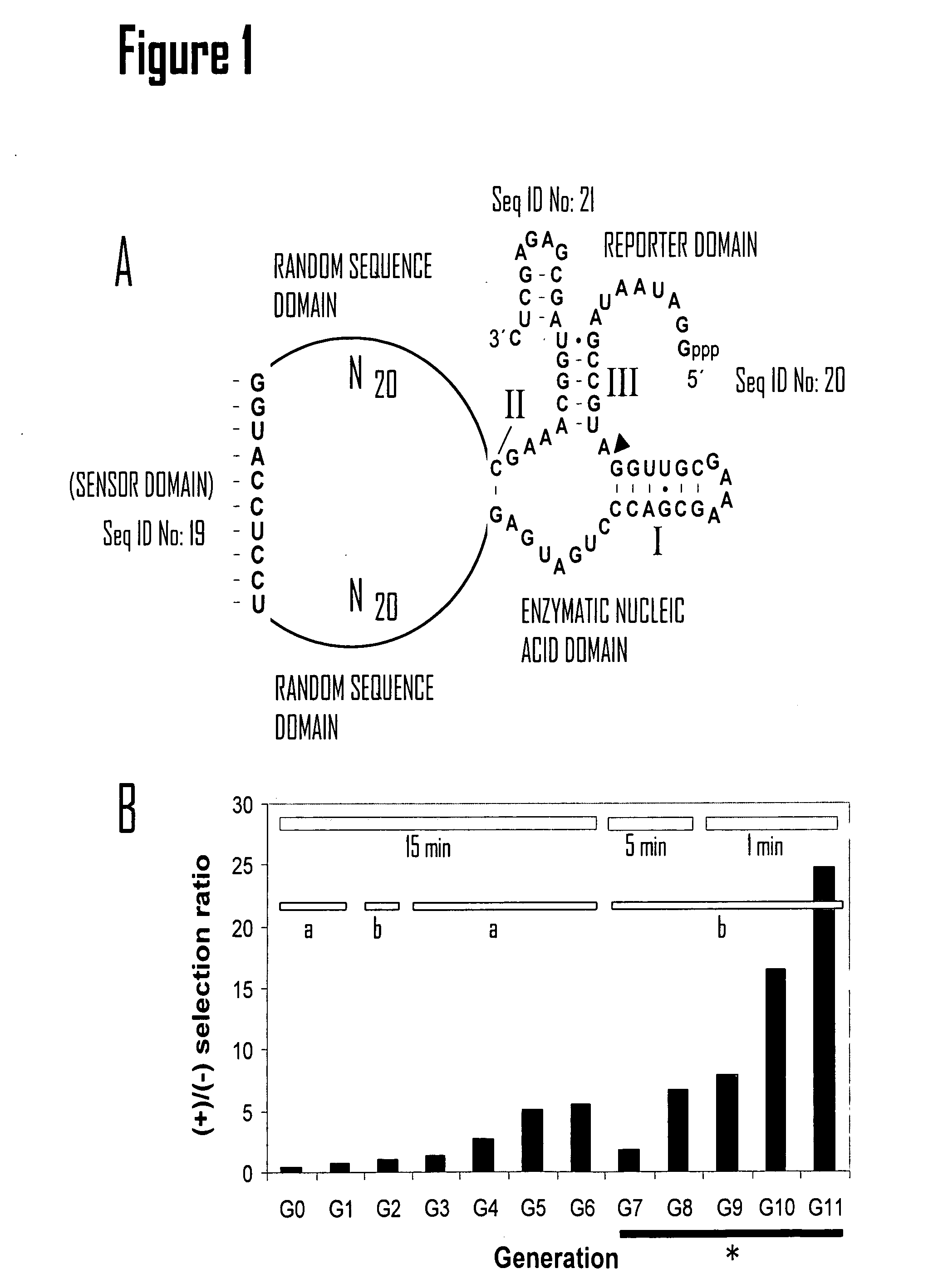 Nucleic acid diagnostic reagents and methods for detecting nucleic acids, polynucleotides and oligonucleotides