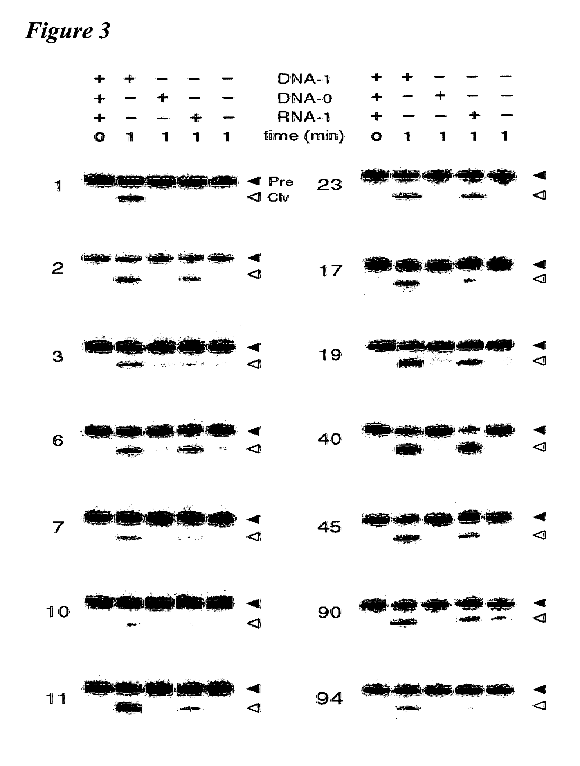 Nucleic acid diagnostic reagents and methods for detecting nucleic acids, polynucleotides and oligonucleotides