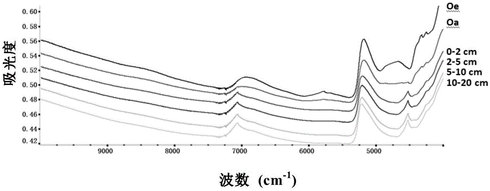 Method for detecting stable carbon isotopic ratio of soil through near infrared spectrum