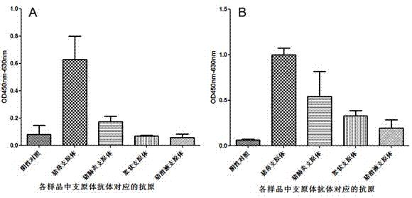 Combinant for detecting mycoplasma antibody and application of combinant