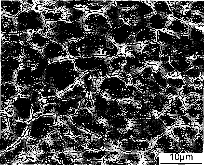 Reduced metal particle high speed micro-forging forming process