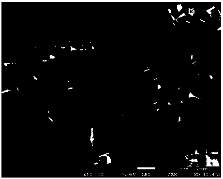 Porous nitrogen-doped carbon supported cobalt nano-material, preparation method and application thereof