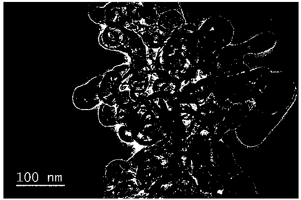 Porous nitrogen-doped carbon supported cobalt nano-material, preparation method and application thereof