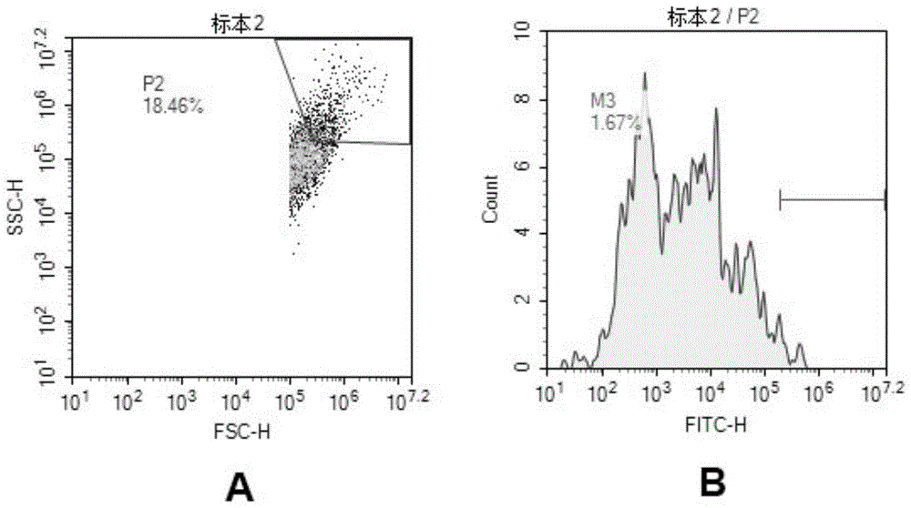 Flow cytometric detection kits, methods and cell fixatives for human respiratory pathogens