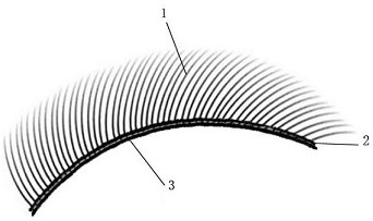 Sterile false eyelash and preparation method thereof