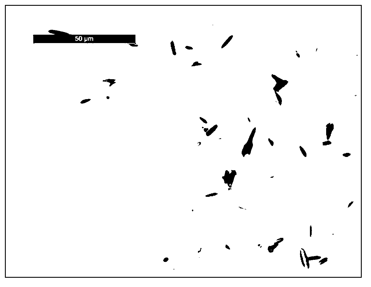 Cationic polyacrylamide-modified Fe3O4 magnetic flocculant and preparation method thereof