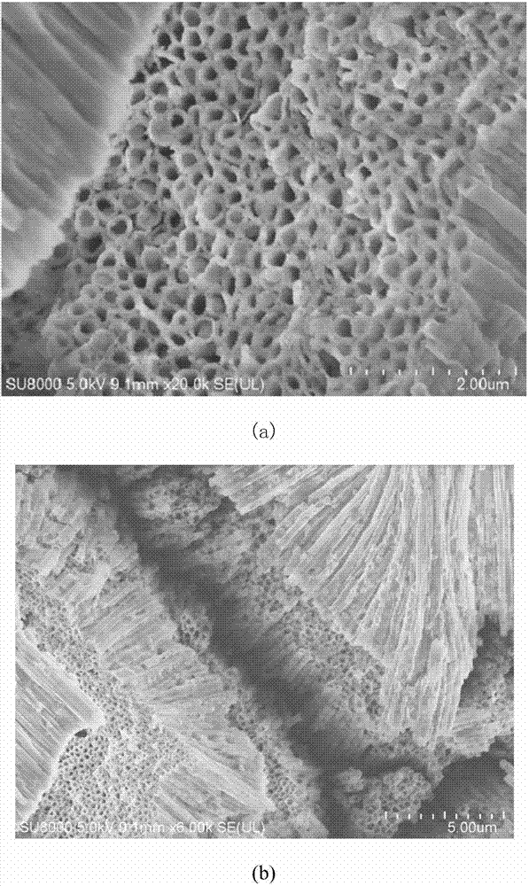 Electrochemical synthesis method of nickel-phosphorus alloy nanotube array