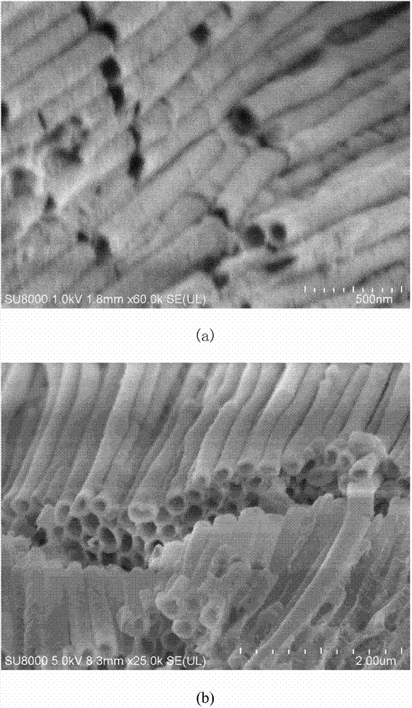 Electrochemical synthesis method of nickel-phosphorus alloy nanotube array